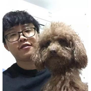 赵磊